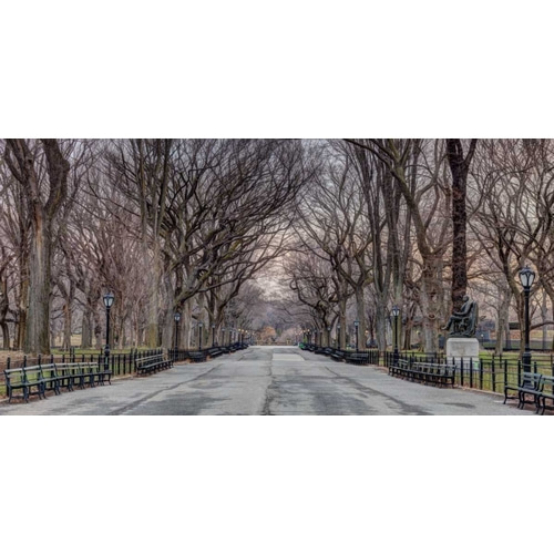 Pathway through Central park, New York