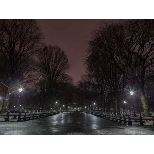 Central park at night, New York