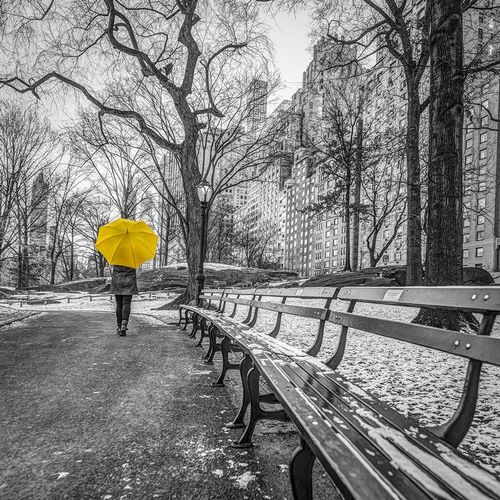 Frank, Assaf 아티스트의 Tourist on pathway with Yellow umbrella at Central park-New York 작품