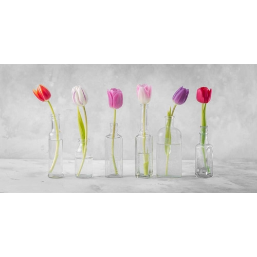 Ranuncuclus flowers in glass bottles