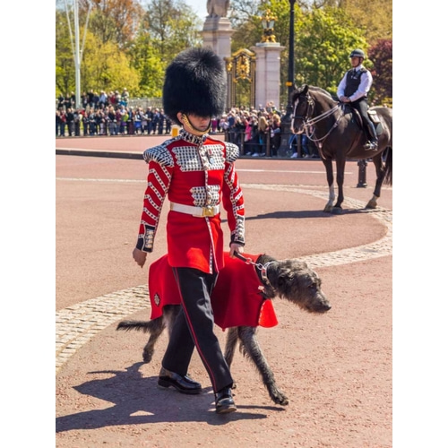 Changing the Guard, Buckingham Palace, London