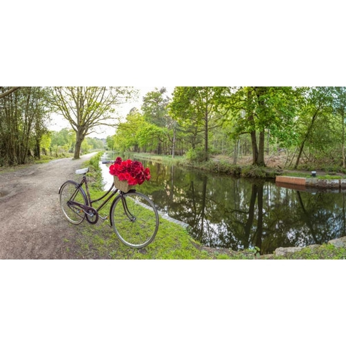 Bicycle with bunch of red roses by the canal