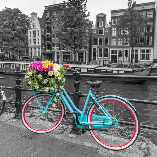 Frank, Assaf 아티스트의 Bicycle with bunch of roses on bridge-Amsterdam 작품