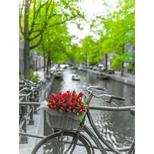 Frank, Assaf 아티스트의 Bicycle with bunch of flowers by the canal-Amsterdam 작품