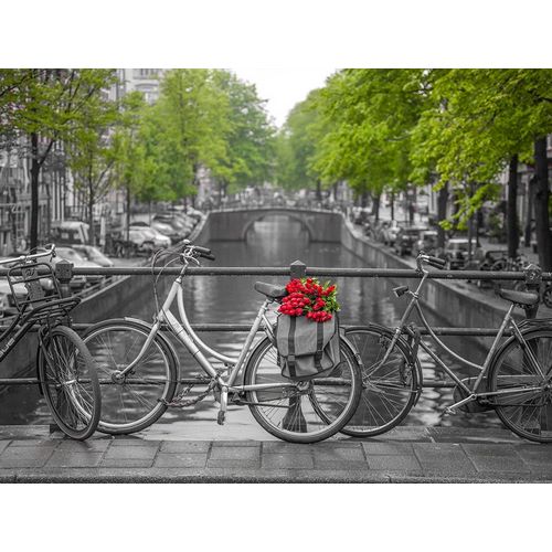 Bicycle with bunch of flowers by the canal, Amsterdam