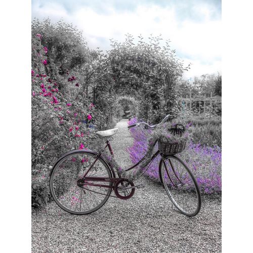 Bicycle on a garden path