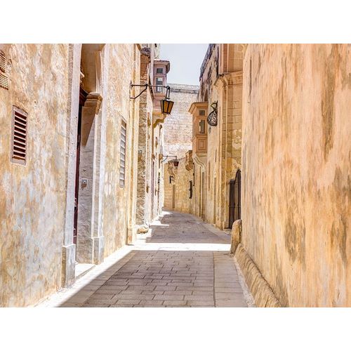 Frank, Assaf 아티스트의 Narrow street of Mdina city-Malta 작품