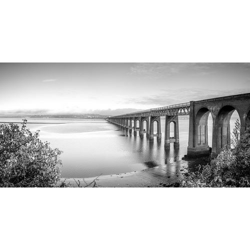 Frank, Assaf 아티스트의 Tay Rail Bridge-Dundee-Scotland 작품