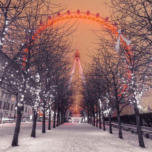 Frank, Assaf 아티스트의 London Eye at night with trees in the foreground lit with lights and snow on the pathway-London-UK 작품