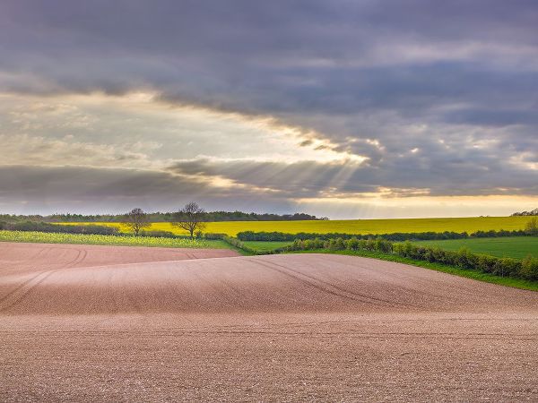 Farm fields in Hampshire during spring
