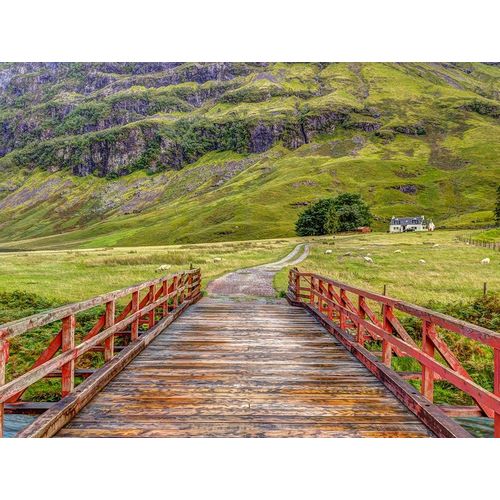 Frank, Assaf 아티스트의 Wooden bridge over water stream at Glen Coe valley-Scotland 작품