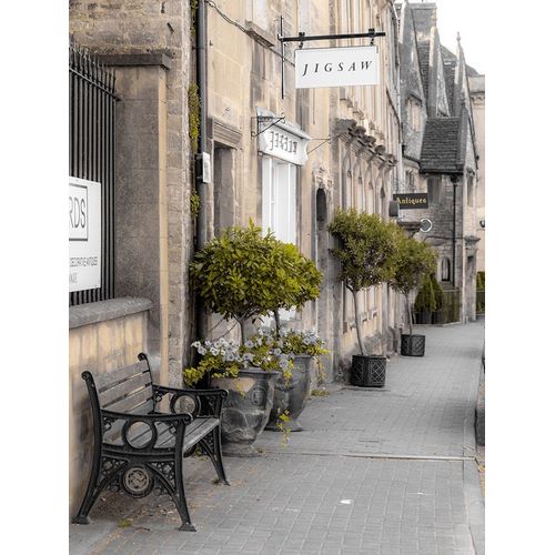 Frank, Assaf 아티스트의 Old buildings in Tetbury town-Cotswolds 작품