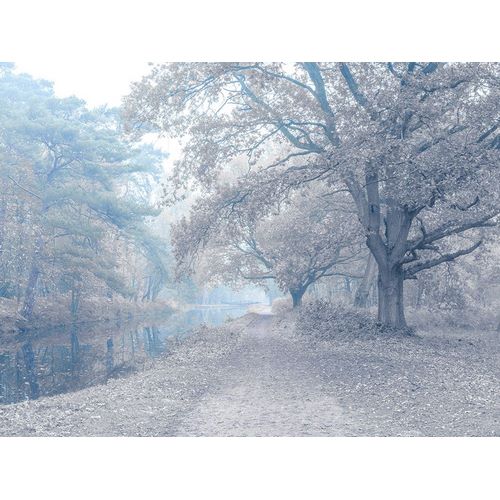 Frank, Assaf 아티스트의 Misty Canal-Autumn 작품