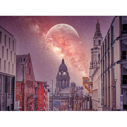 Frank, Assaf 아티스트의 Starry night-Leeds 작품