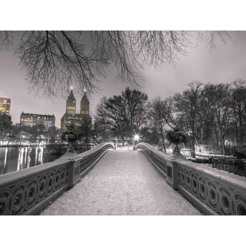 Central park Bow Bridge with Manhattan skyline, New York