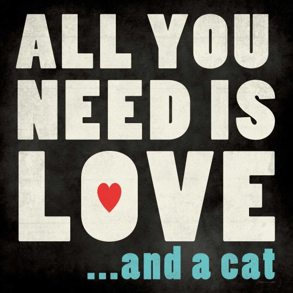 All You Need - Cat