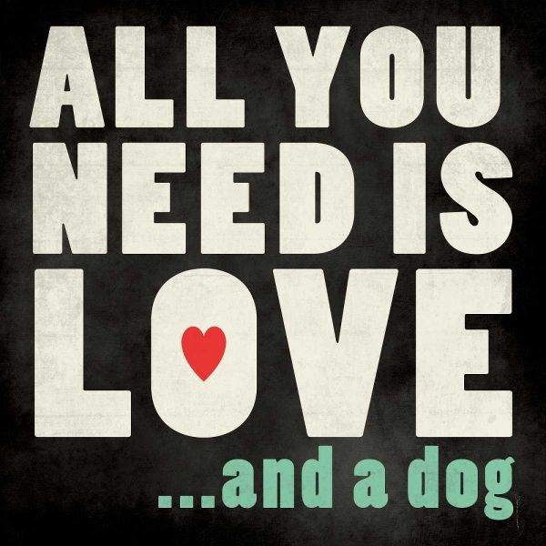 All You Need - Dog