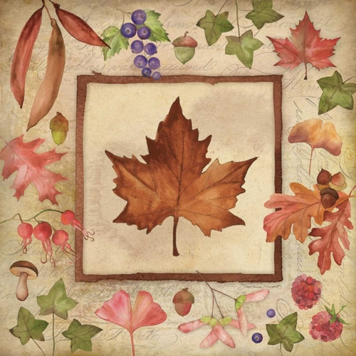 Maple of Fall 1