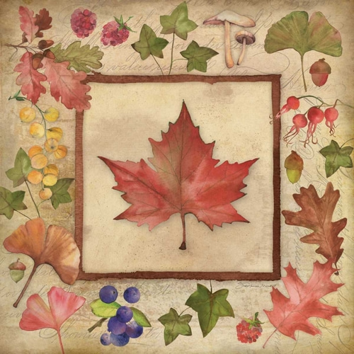 Maple of Fall 2