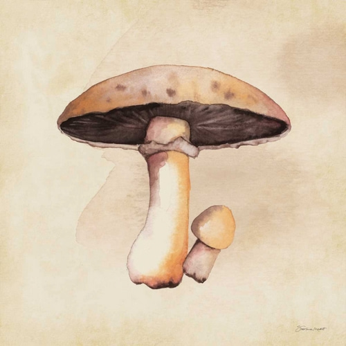 Mushrooms In Fall