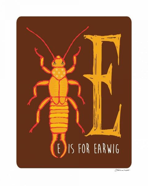 E is For Earwig