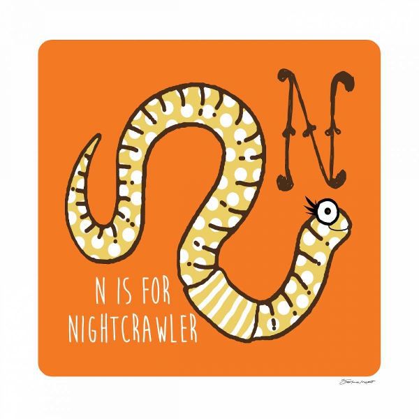 N is For Nightcrawler