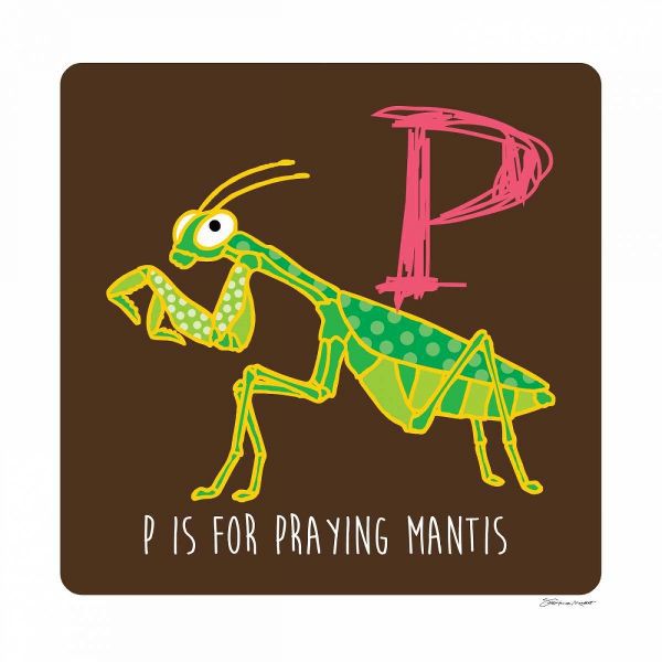 P is For Praying Mantis