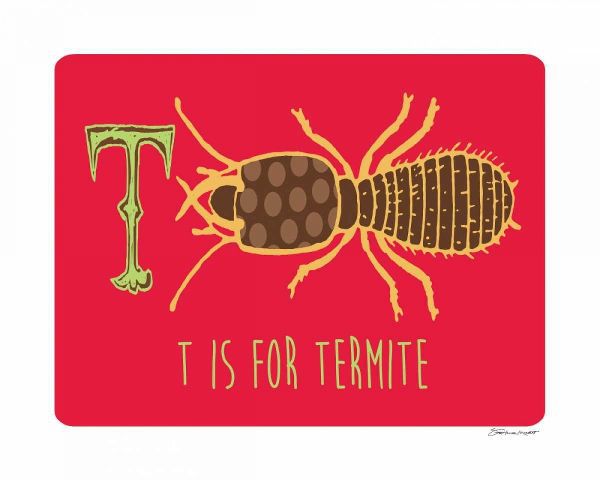 T is For Termite