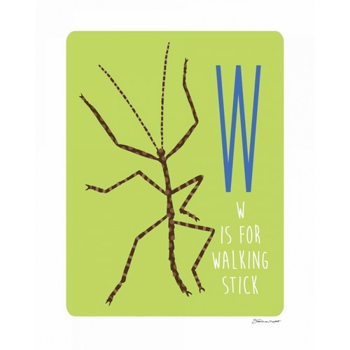 W is For Walking Stick