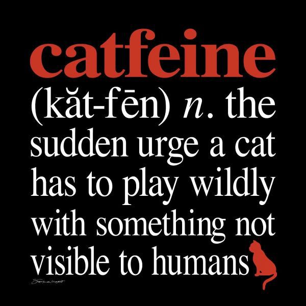 Catfeine