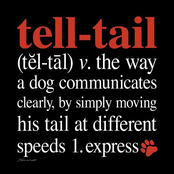 Tell-Tail
