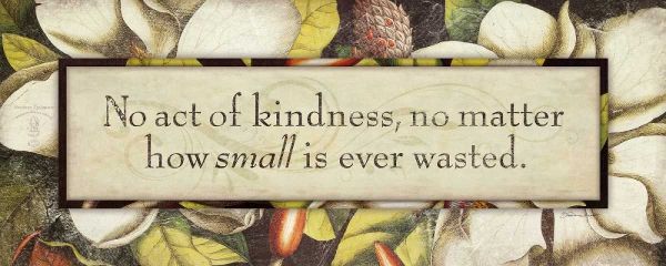 No Act of Kindness