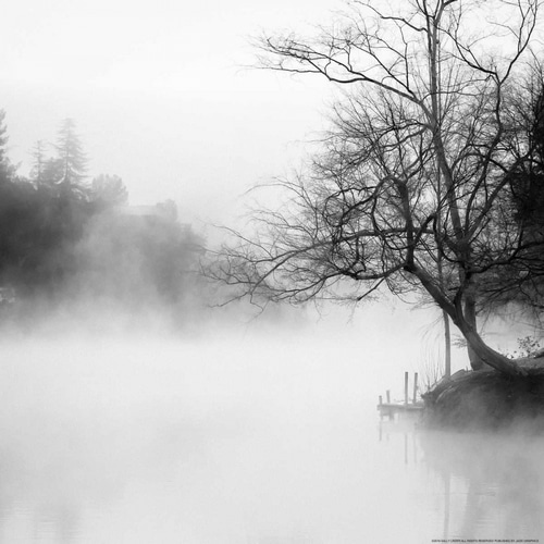 Fog On The Lake 1