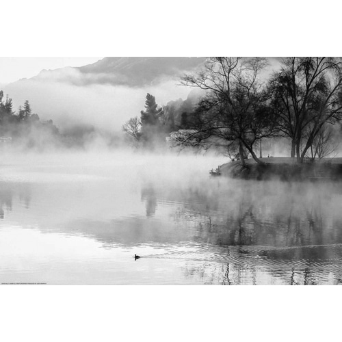 Fog On The Lake 2
