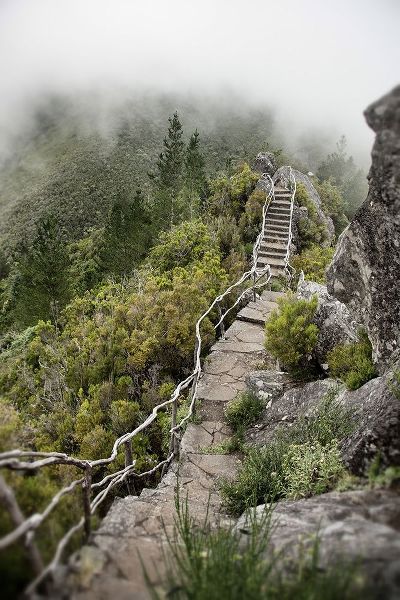 Bridge To The Clouds