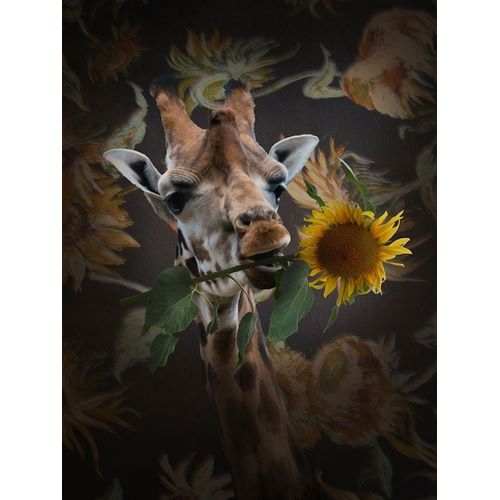 Giraf Met Bloem