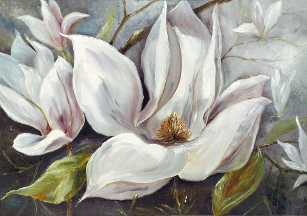 Tender Magnolias I