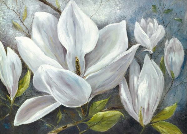 Tender Magnolias II