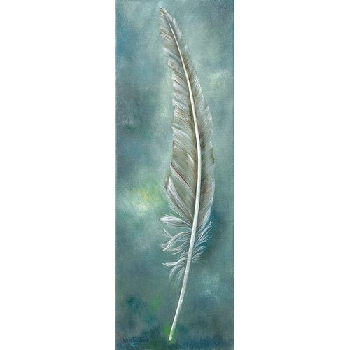DREAMY FEATHER