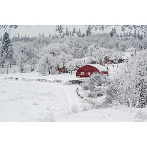 Dreamy Winter Farm