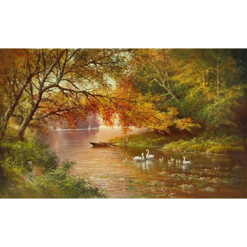 Swan Family In Autumn