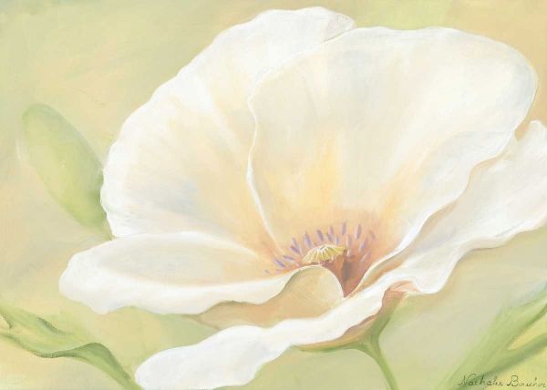 White flower I