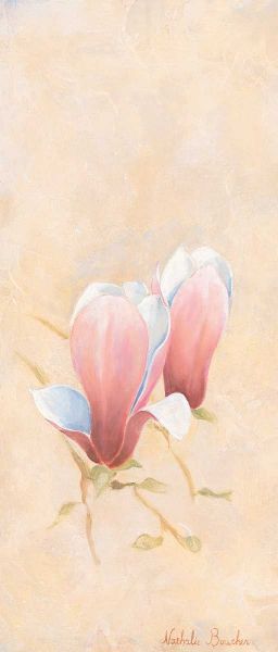 Pink magnolia 3-3