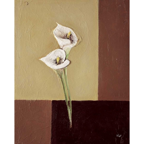 Calla lilly on brown