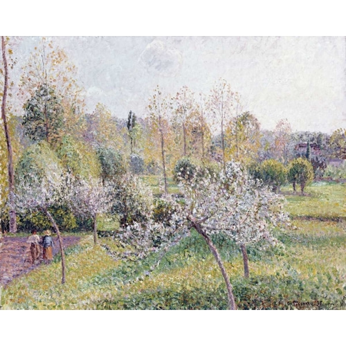 Apple Trees In Blossom, Eragny