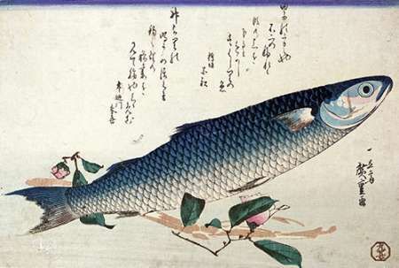 A Design From a Large Fish Series