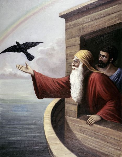 Noah Releasing The Raven