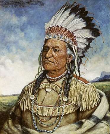 Old Chief American Horse