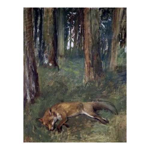 Dead Fox Under the Trees