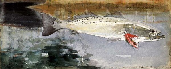 Mrs. R. H. Watts Trout